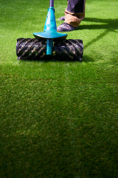 istock Electric brush cleaning fake grass 1253417510