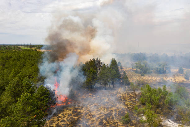 istock Aerial drone view of a wildfire in forested area 1253419563