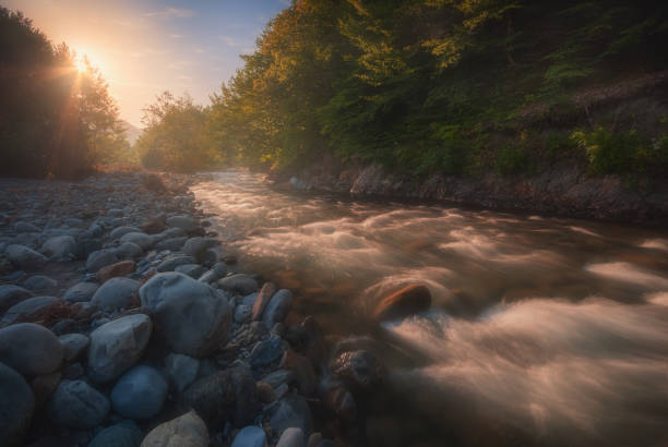 istock Magical sunrise over fast flowing mountain river 1253422300