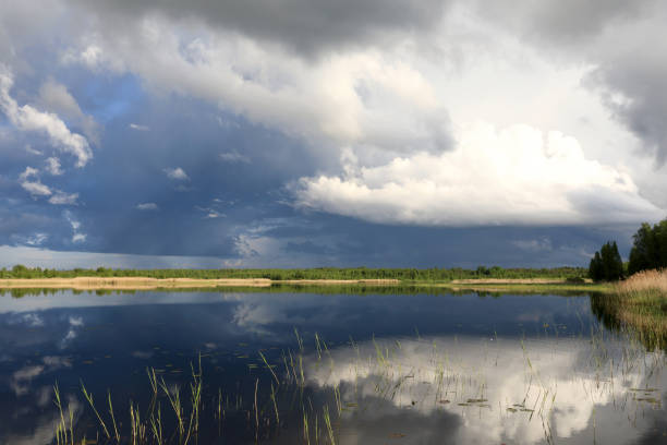 istock Landscape of lake Seliger after rain 1253422982