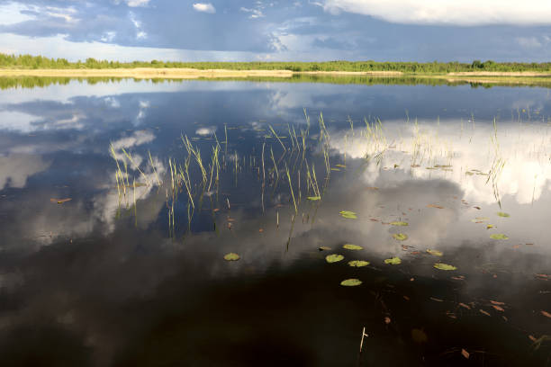 istock Landscape of lake Seliger 1253423005
