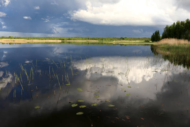 istock Landscape of Seliger lake 1253423010