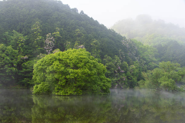 istock Fresh green trees reflected in the quiet lake surface 1253424271