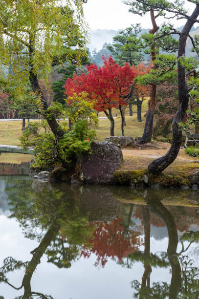istock Autumn leaves reflected in the pond and curved trunks 1253424301