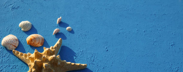 istock Frame with beach accessories on a nautical theme: yellow straw hat, sunglasses, starfish and shells on a blue background. 1253426294