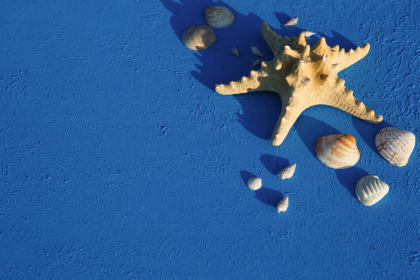 istock Frame with beach accessories on a nautical theme: yellow straw hat, sunglasses, starfish and shells on a blue background. 1253426316