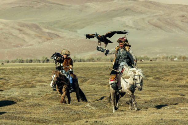 kazakh eagle hunter while hunting in the mountains of bayan-olgii aimag in mongolia. - independent mongolia fotos imagens e fotografias de stock