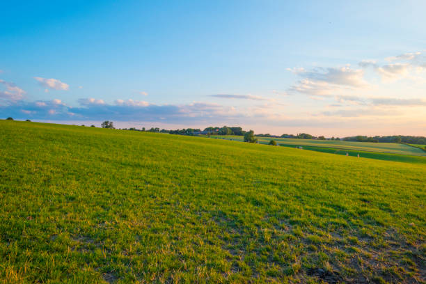 istock Grassy fields and trees with lush green foliage in green rolling hills below a blue sky in the light of sunset in summer 1253428047