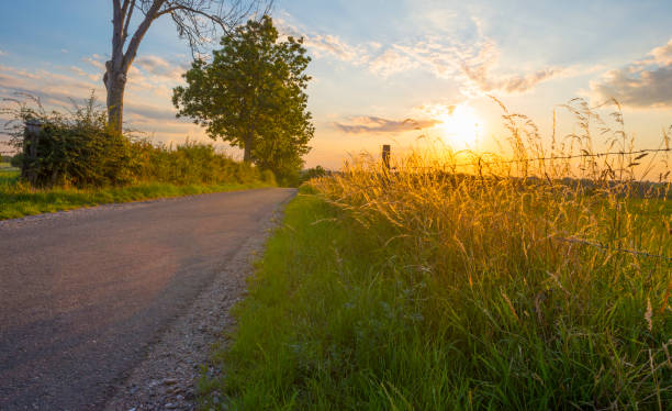 The sunrise at the golden hour in Rhineland Palatinate