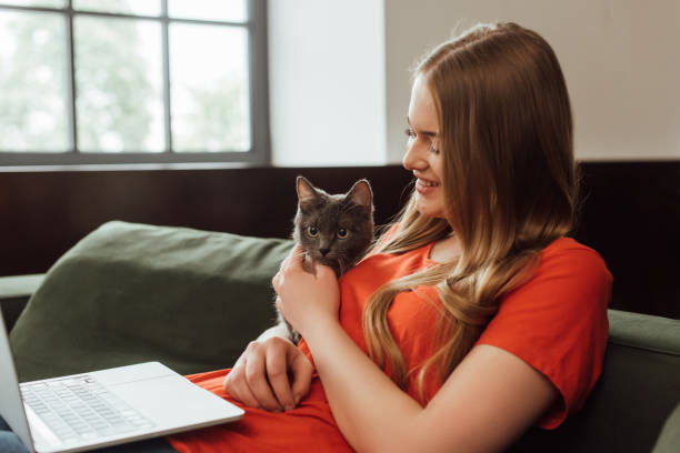 istock happy freelancer using laptop and touching cute cat in living room 1253428893