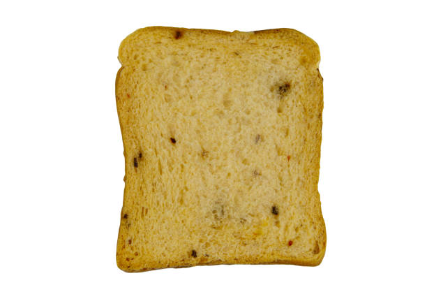 istock Slice of olive bread with spices isolated on white background 1253430022