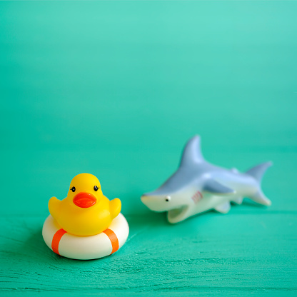 A yellow rubber duck on a safety inflatable life ring trying to escape a ferocious rubber shark nearby, set on a wooden turquoise-colored table background, conceptually representing water. Concept image relating to safety, survival, danger, conquering adversity, escape, danger, hostile environment, etc.