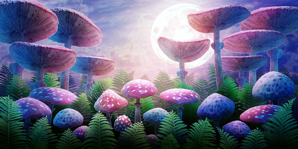 fantastic wonderland landscape with mushrooms and moon