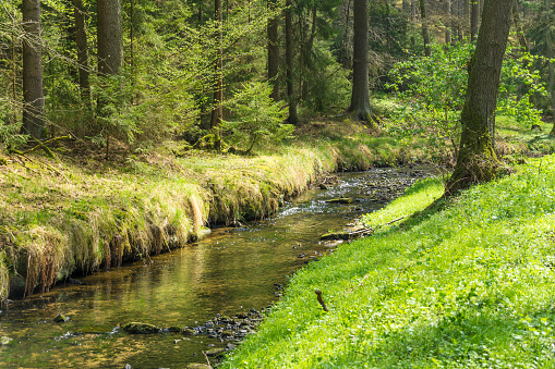 a stream in the forest in germany district thuringia, at the village Kursdorf. Called the Mühltal