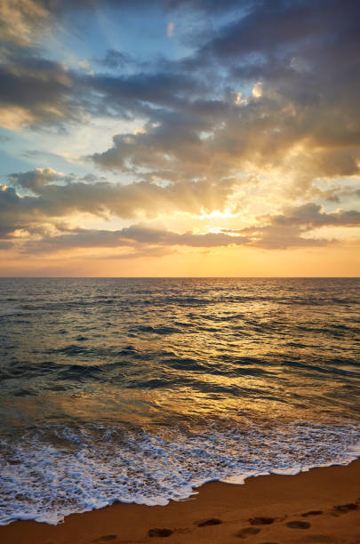 istock Scenic sunset over tropical beach, Sri Lanka. 1253437783