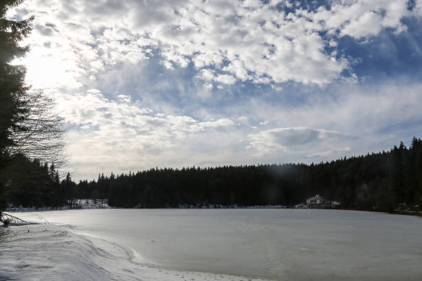 istock Frozen lakeside view of a scenery with trees and snow 1253439196