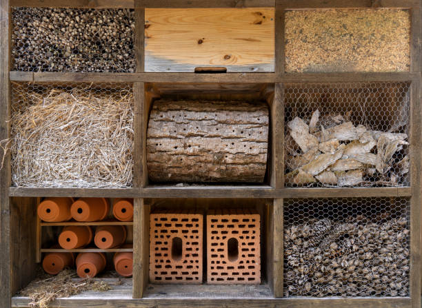 Large insect hotel with different materials in nine compartments