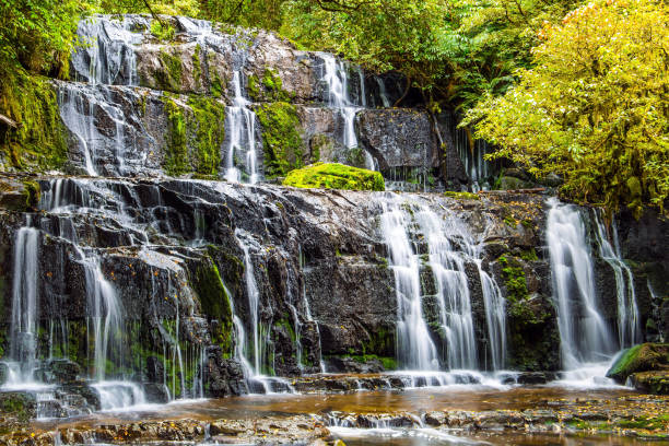 istock Purakaunui Falls. The cascading waterfalls 1253439909