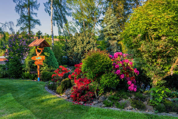 istock Beautiful summer garden concept 1253441321
