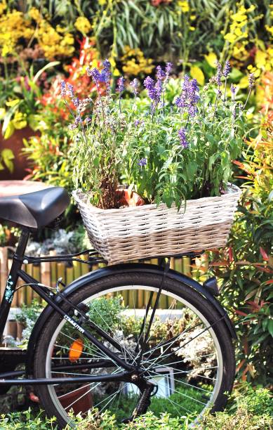 istock Flowers on the bicycle 1253442566