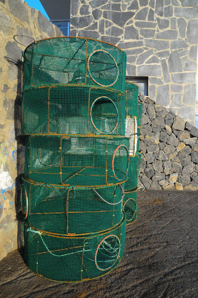 pièges à poissons à filet vert vide - fishing net netting nobody color image photos et images de collection