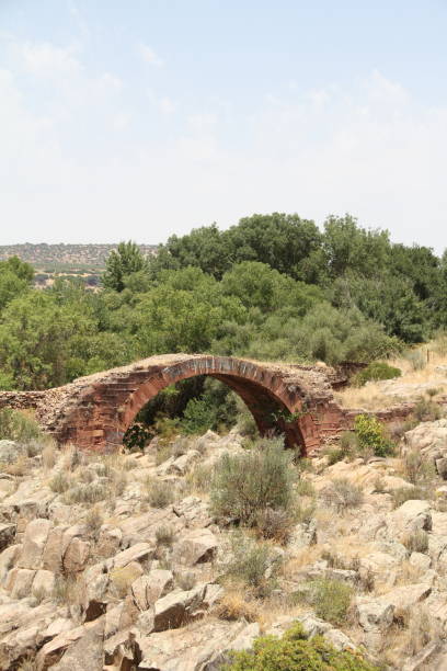 istock Roman Bridge in Linares, Spain 1253445279