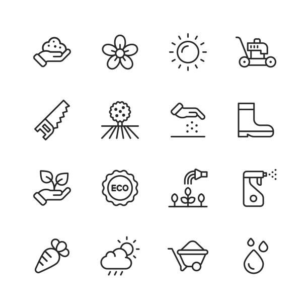 Garden Line Icons. Editable Stroke. Pixel Perfect. For Mobile and Web. Contains such icons as Flower, Sun, Lawn Mower,  Pruning Saw, Garden, Field, Agriculture, Boots, Plant, Ecology, Plant, Pesticides, Carrot, Vegetable, Fruit, Cloud, Rain, Wheelbarrow. 16 Garden Outline Icons. Sowing Seeds, Flower, Sun, Weather, Lawn Mower,  Pruning Saw, Garden, Field, Agriculture, Boots, Plant, Ecology, Plant Watering, Watering Can, Spray, Pesticides, Carrot, Vegetable, Fruit, Cloud, Rain, Water Drop, Wheelbarrow, Fertilizer. watering pail stock illustrations