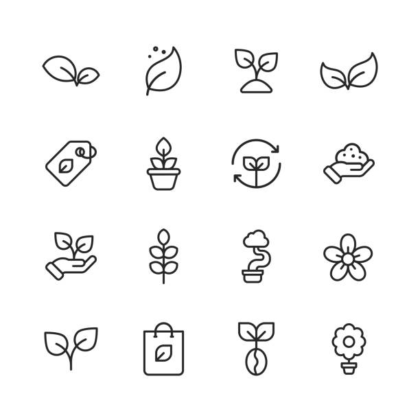 Plant and Seed Line Icons. Editable Stroke. Pixel Perfect. For Mobile and Web. Contains such icons as Plant, Seed, Leaf, Tree, Ecology, Environment, Agriculture, Planting, Growing, Watering, Recycling, Fertilizer, Soil, Flower, Gardening, Flowerpot. 16 Plant and Seed Outline Icons. Plant, Seed, Leaf, Tree, Ecology, Environment, Agriculture, Planting, Growing, Watering, Recycling, Human Hand Holding Seeds, Fertilizer, Irrigation, Soil, Coffee, Flower, Gardening, Flowerpot, Houseplant, Landscape, Organic. plant root growth cultivated stock illustrations