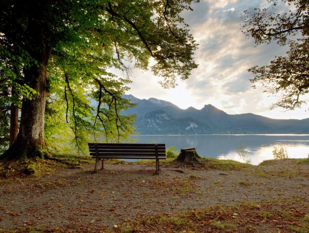 istock Empty Wooden Bench At Mountain Lake. Bank Under Beeches Tree, Mountains At Horizon. 1253448271