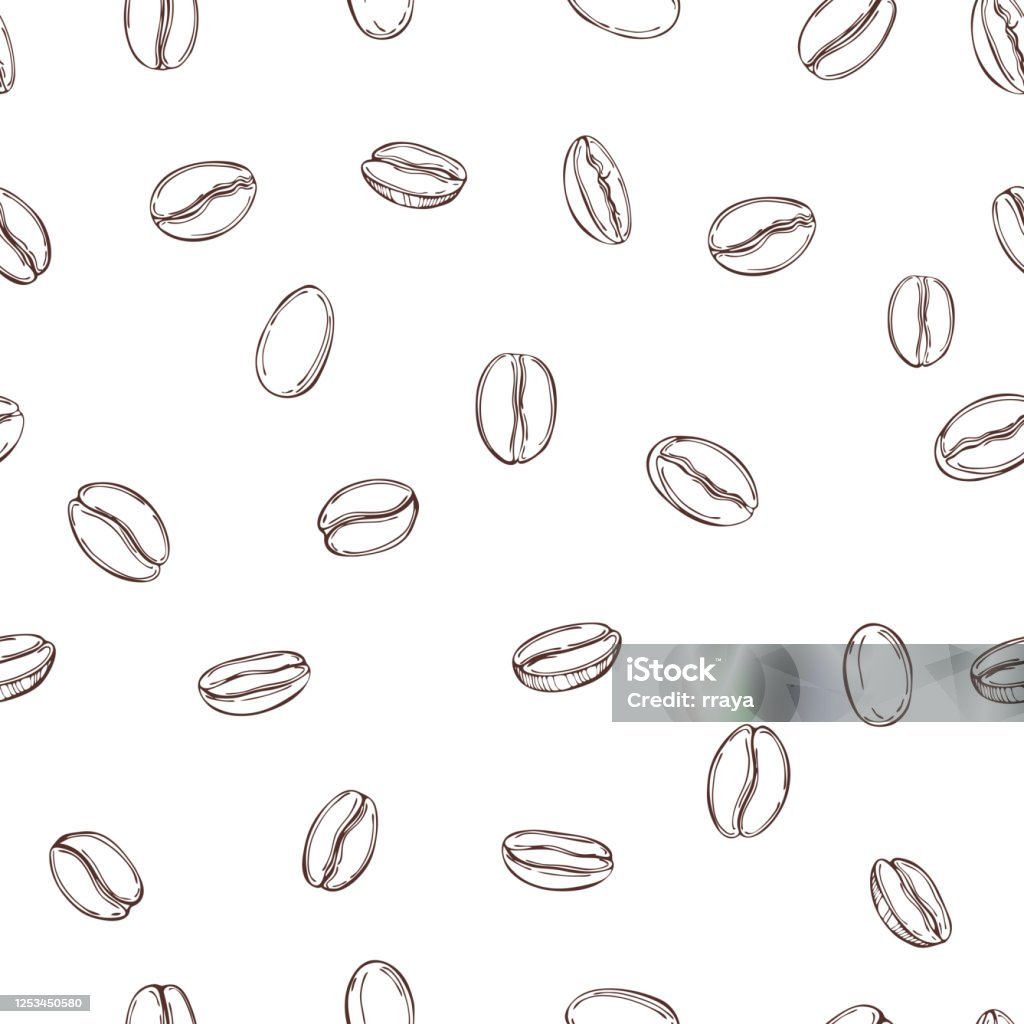 Vector seamless pattern with   coffee  beans. Vector seamless pattern with hand drawn  coffee  beans. Roasted Coffee Bean stock vector