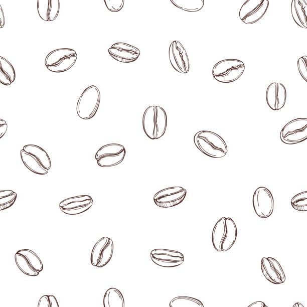 Vector seamless pattern with   coffee  beans. Vector seamless pattern with hand drawn  coffee  beans. coffee beans stock illustrations