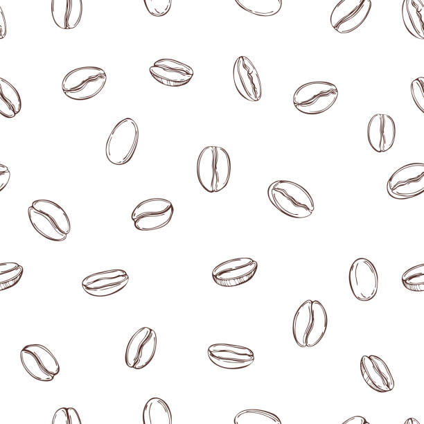 Vector seamless pattern with coffee beans. Vector seamless pattern with hand drawn coffee beans. roasted coffee bean stock illustrations