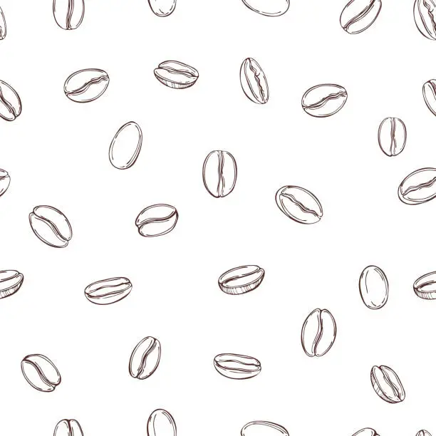 Vector illustration of Vector seamless pattern with   coffee  beans.