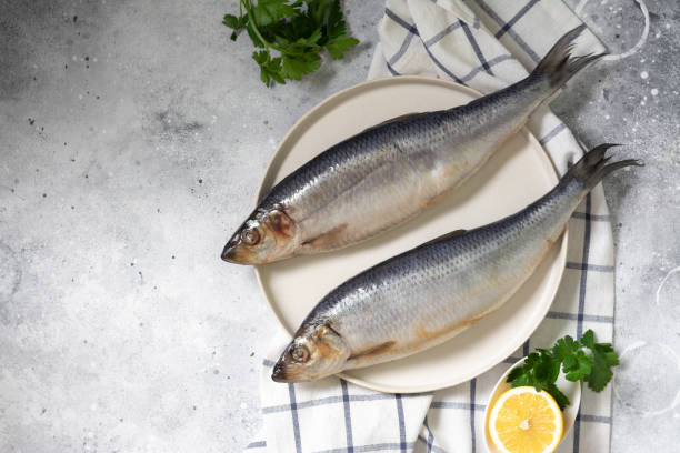 istock Herring on a white plate on a light gray table. Salted fish. Top view with space for text 1253450679