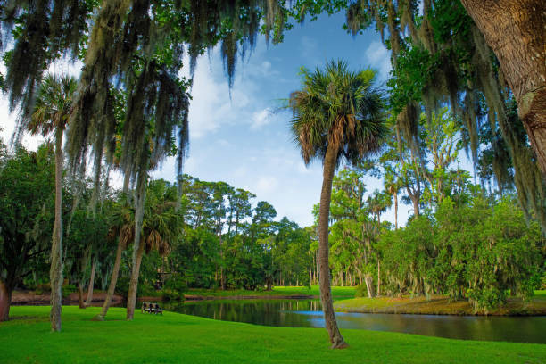 istock Lagoon view with live oaks and palms-Hilton Head,SC 1253450821