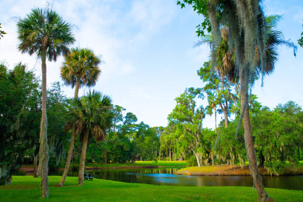 istock Lagoon View-Hilton Head Island,SC 1253452687