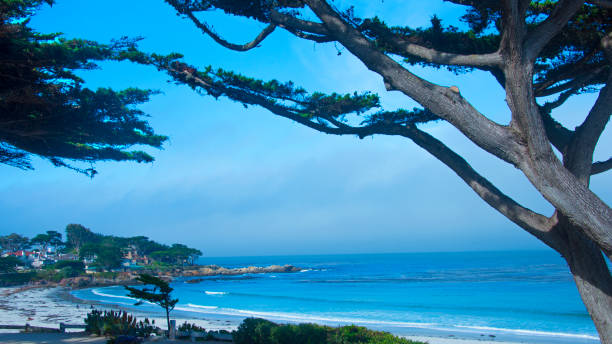 istock Pacific Costal View with wind blown cypress trees-Carmel California 1253452688