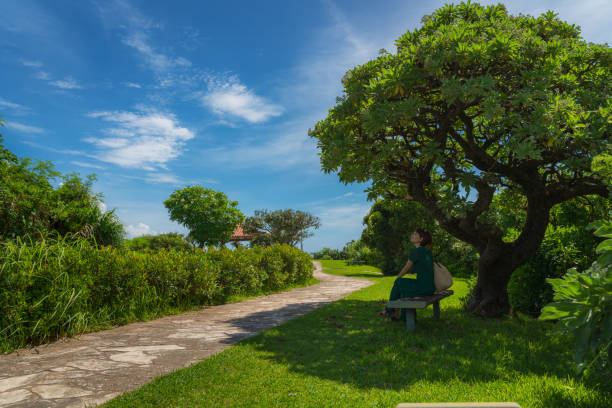 An Asian woman soothed by blue skies and nature