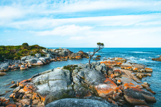 istock Bay of Fires, Tasmania, Australia 1253454497