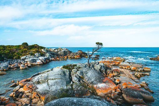 Red rock coastline seen at Bay of Fires on the east coast of Tasmania, Australia.