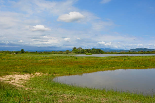 istock Italian Wetland 1253454643