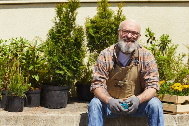 istock Smiling Senior gardener in Sunlight 1253454881