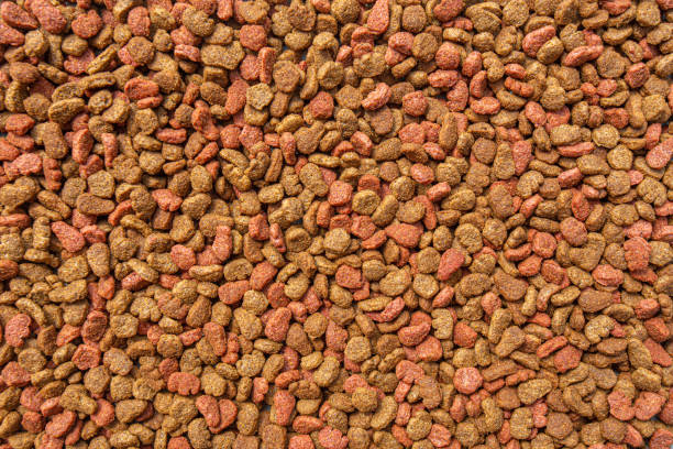 istock Orange-red nutritious cat dry food is scattered on the surface, background 1253454986