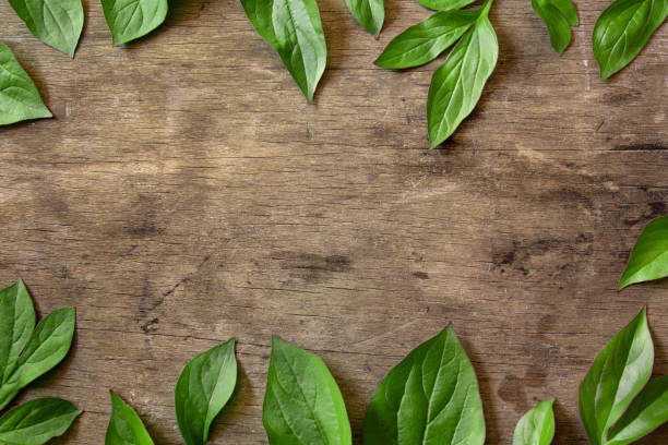 istock Green leaves lie on a wooden background 1253455005