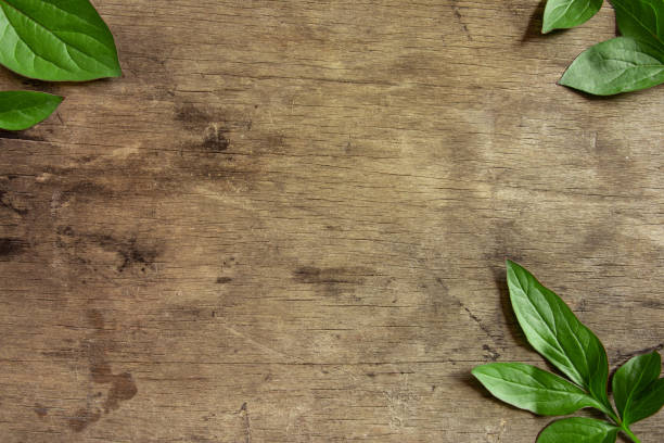 istock Green leaves lie on a wooden background 1253455412