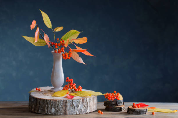 istock still life with rowan berries on  dark background 1253457171