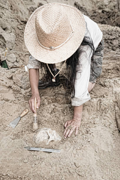 istock High Angle View Of Woman Working In Mud 1253457328