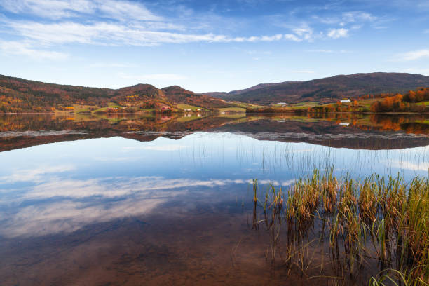 istock Rural Norwegian landscape with still lake 1253457478
