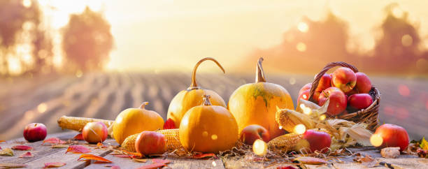 istock Happy Thanksgiving Day Background 1253457649