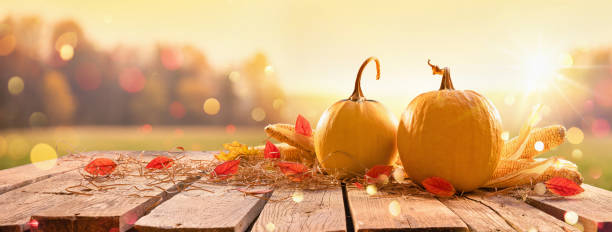 istock Happy Thanksgiving Day Background 1253458168